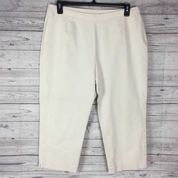 J Jill Beige Flat Front Stretch Ankle Pants - Picture 1 of 9